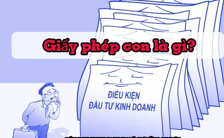 Bài viết