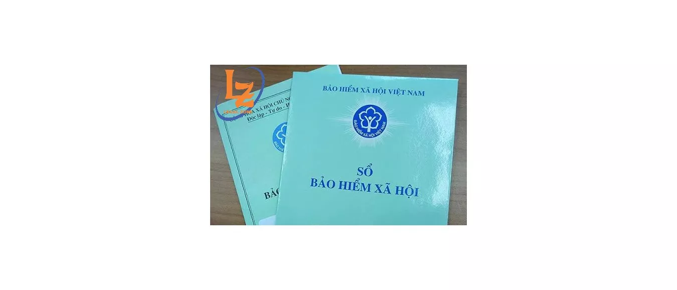 Bài viết