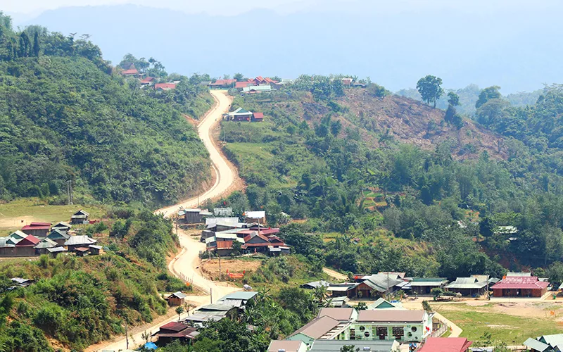 Bài viết