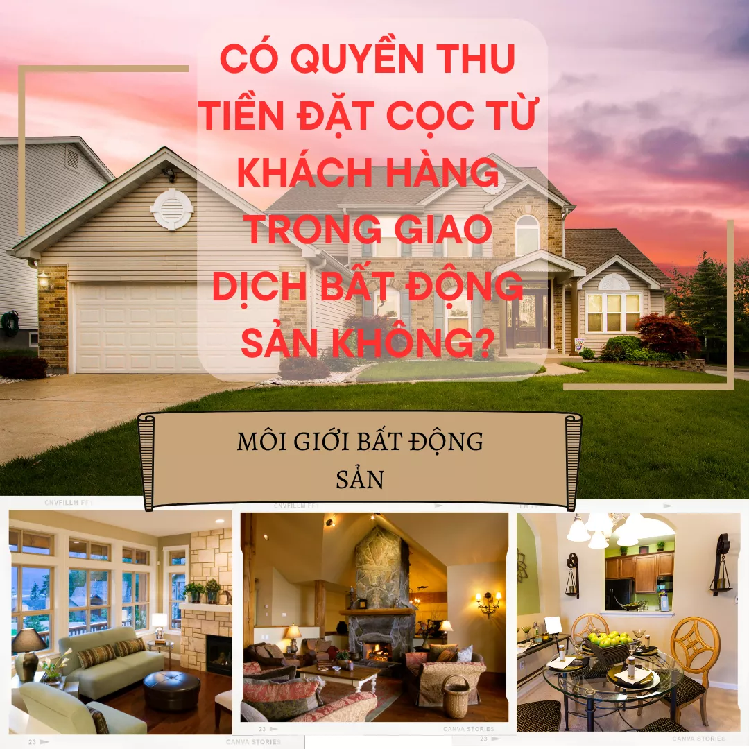 Bài viết